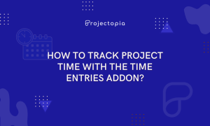 How to Track Project Time with the Time Entries Addon