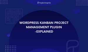 WordPress Kanban Project Management Plugin - Explained